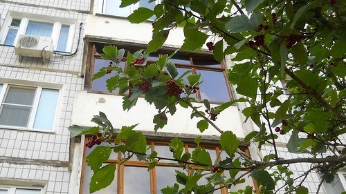 0_89ad9_f28157f8_-3-L