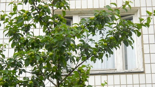 0_8408c_8ef48df6_-1-L