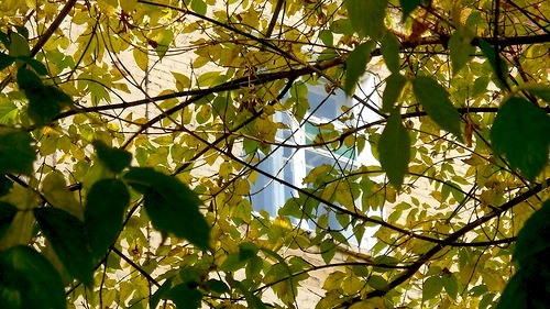 0_923f8_5aed604f_-1-L