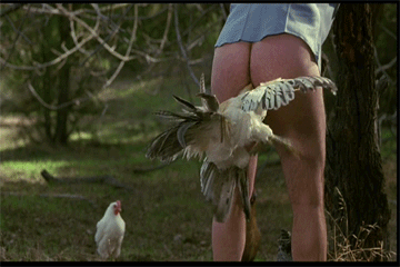 -в-жопе-песочница-405440