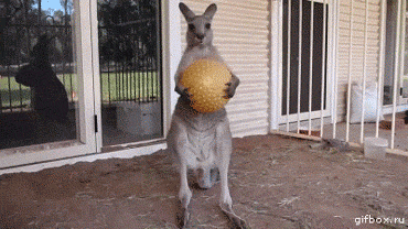 Игры кончились!