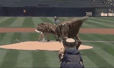 1399793046_180625102