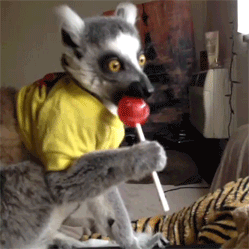 gifs_05