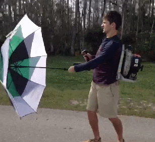 Leaf Blower Skateboard