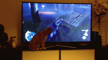 1400829449_1421017918