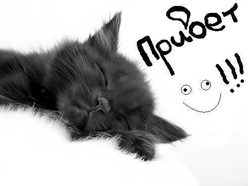 12276103031227019335privet8