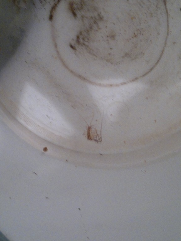 2014-05-11-3318