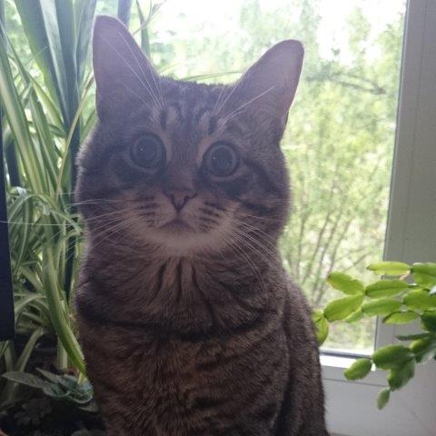 Кузьмич
