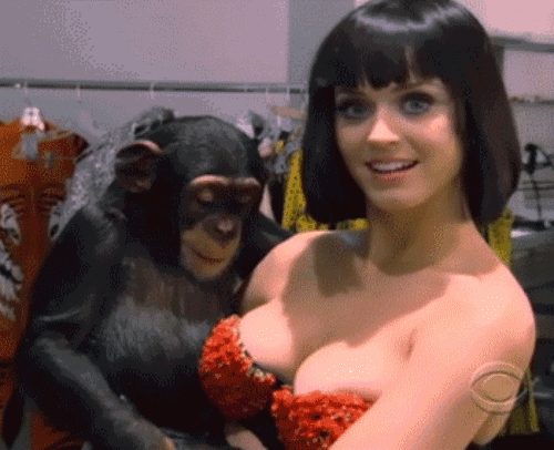 gloriousboobsgifsmonkey