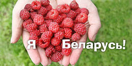 Социальная реклама в Беларуси