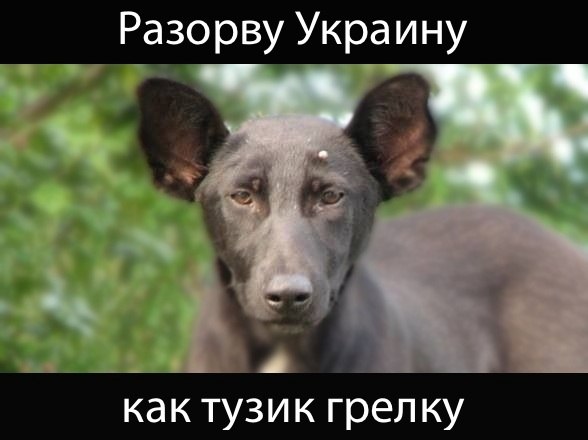 WJQAxrgKINU