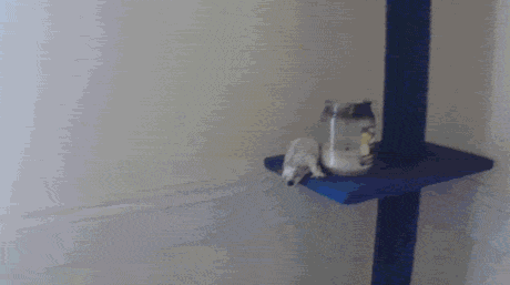 a9dGmKL_460sa
