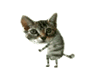 4d8b699d5f21ef5a8099eae81eb3c575