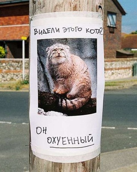 7c84be2f249c13f735a6328f4cee1f04