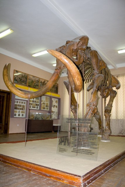 Мамонт