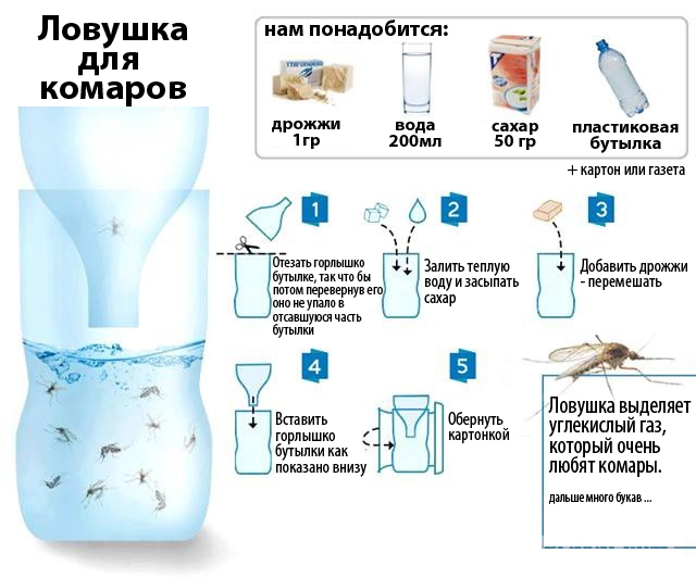 Как убрать всех комаров в комнате