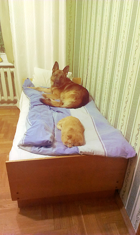 IMAG0651