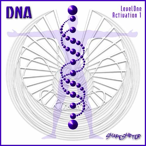 DNA1-2