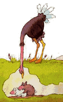 192