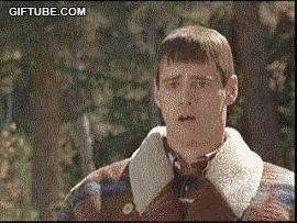 awesome_gifs_19