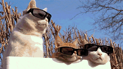 cats_20140508000040