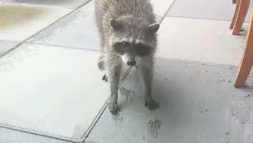 doc168910351_294015802