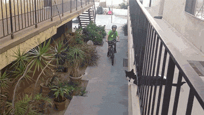 1401764910_gifs_22_yapfiles_ru