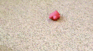 1406133154_1400300696