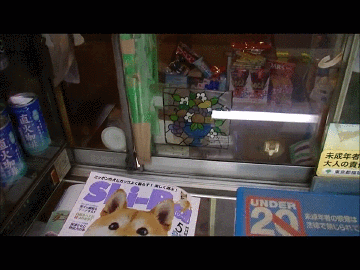 ккккп