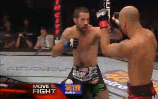 AliveSillyElephantseal