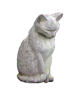 Cat_211