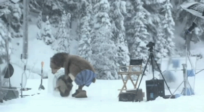 -медведь-Россия-539059