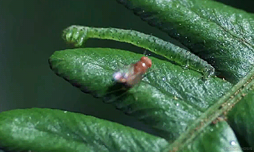 pZ931qR