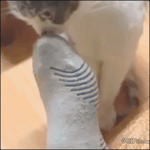 tumblr_n036wdfv821qdlh1io1_400