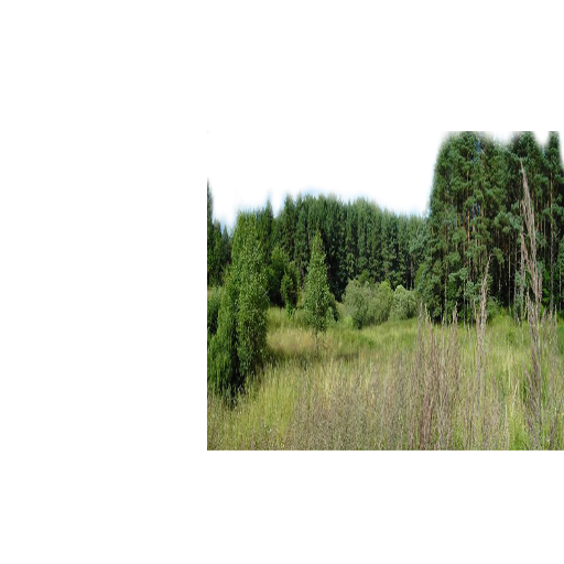47d4fcbeb1fa5c7f3c537a9777b5891d2