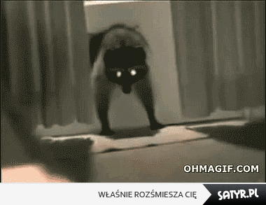 64675c9a7a251846811c1724795075a5_kradziej