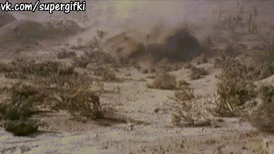 supergifki_krot