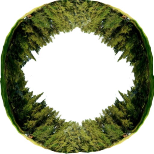 именилодод