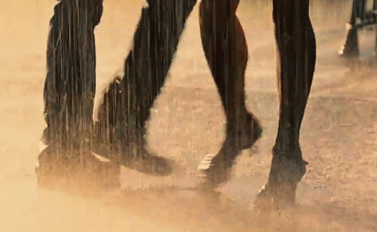 99304446_tumblr_mbhqbv1xIg1rrgl6yo1_400