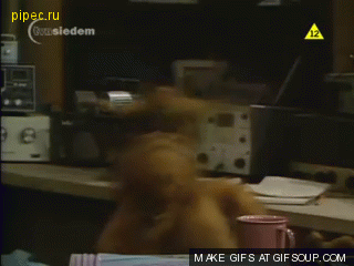 1315342538_9368624841144_alf-o