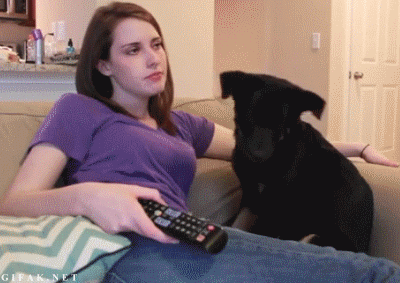 1369832459_2086375777