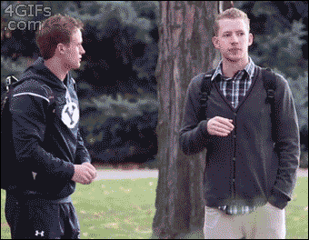 4.gif