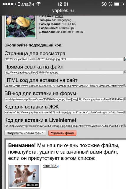 image