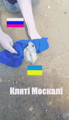 078e84bb2114b3ca5f79d70625d1e8c0