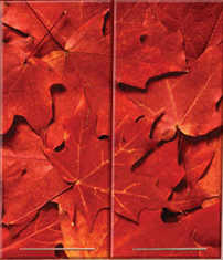 2014-08-10 23-06-43 Скриншот экрана