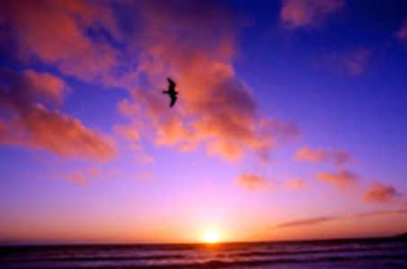 2014-08-11 13-53-13 Скриншот экрана