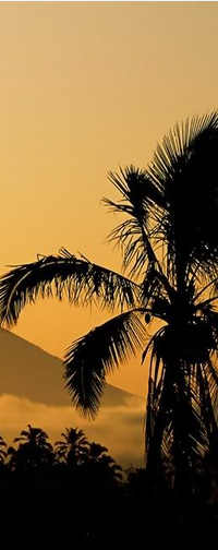 2014-08-23 23-16-25 Скриншот экрана