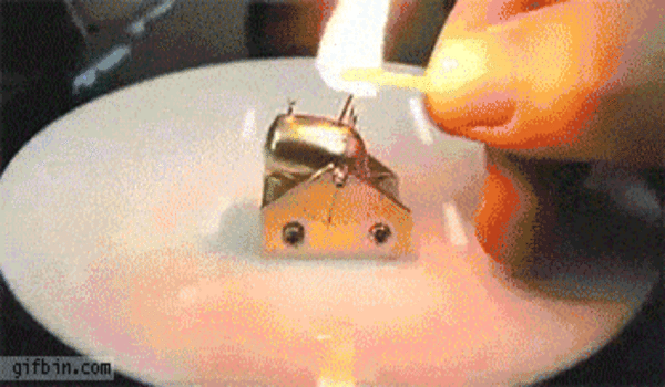 600x350_aAVpAGL_460sa_v1 (1)