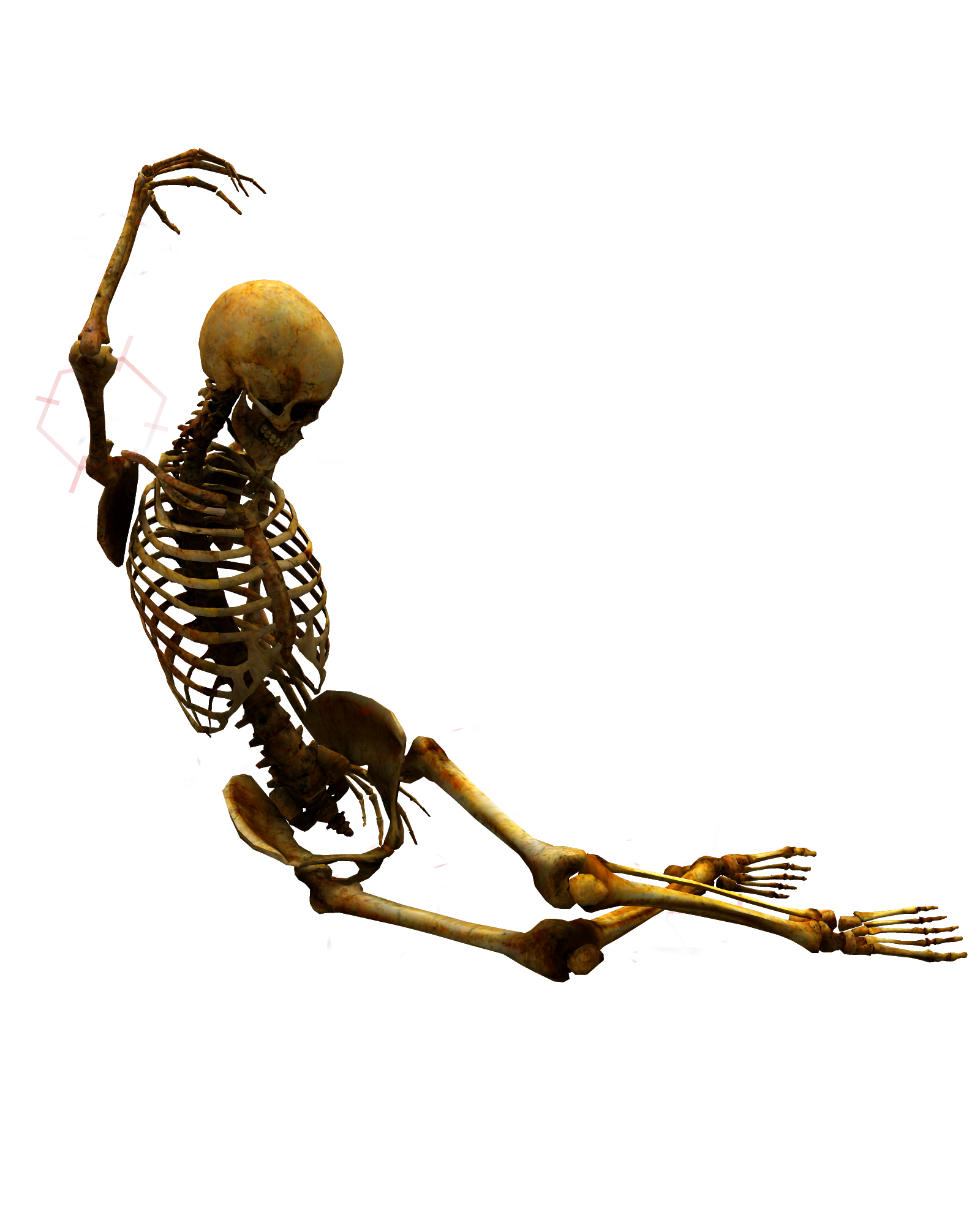 Skeleton png. Скелет человека. Скелет лежит. Скелет без фона. Лежачий скелет.