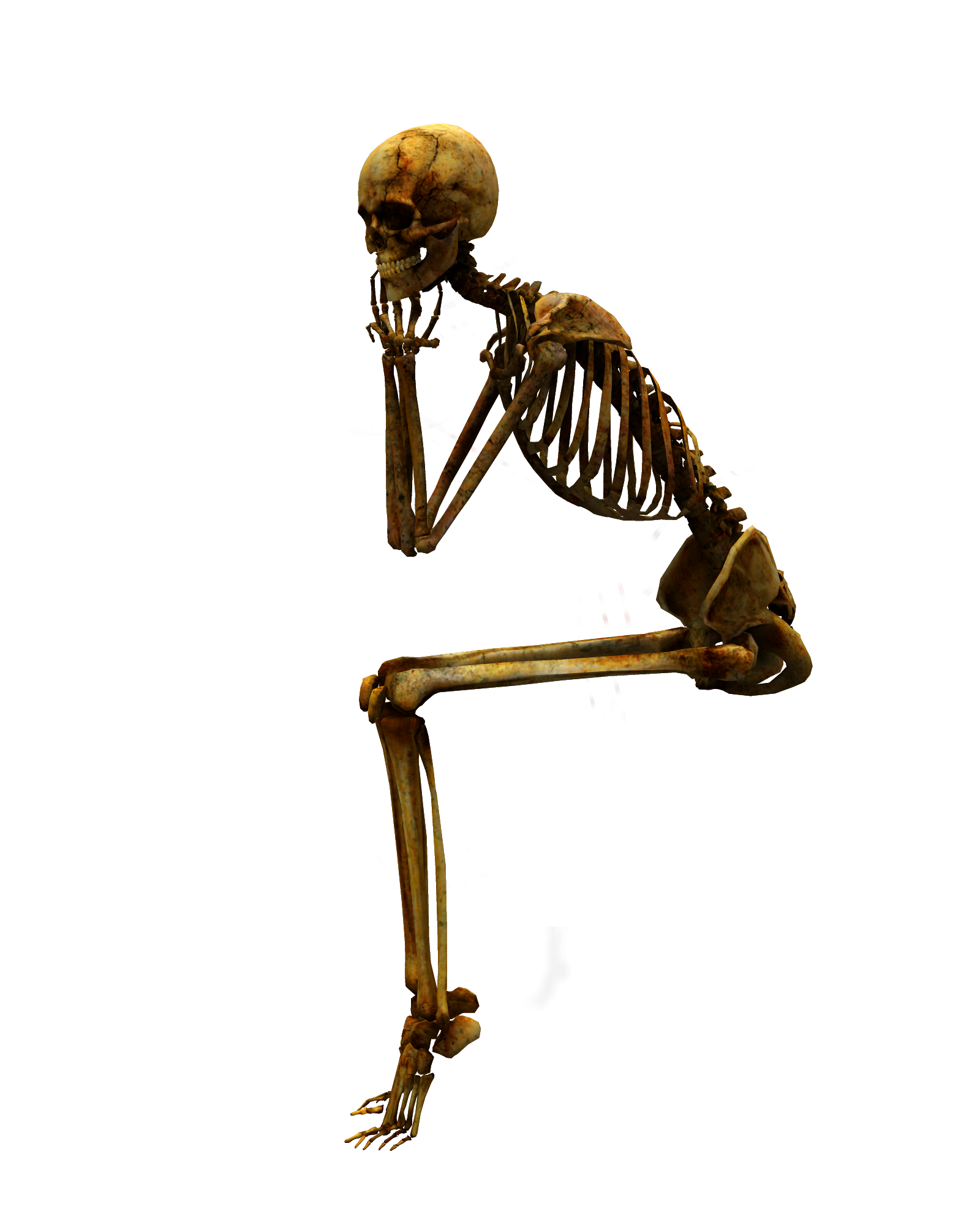 Skeleton png. Скелет сидит. Сидячий скелет. Скелет на белом фоне. Скелет человека сидит.